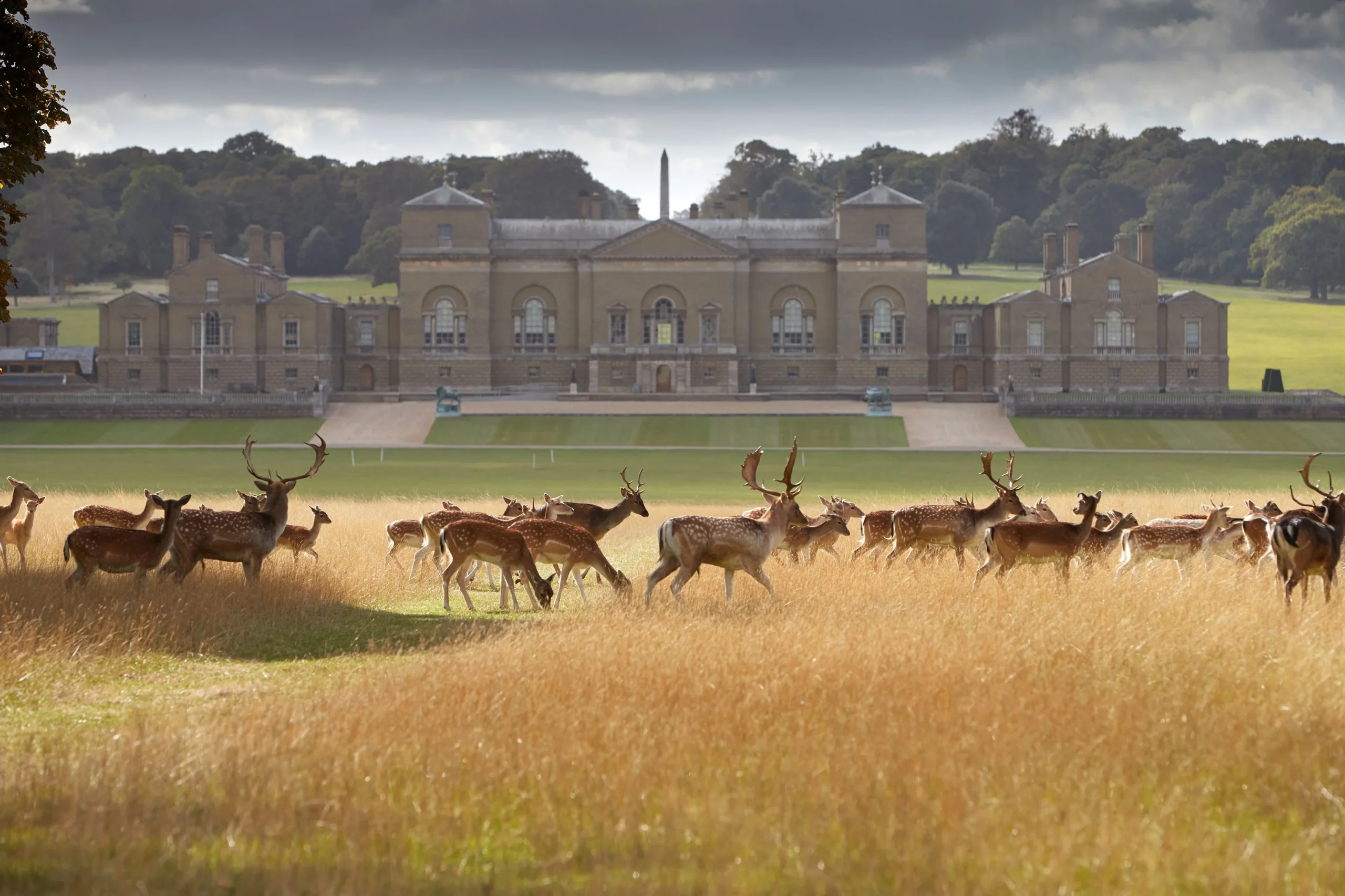 holkham hall