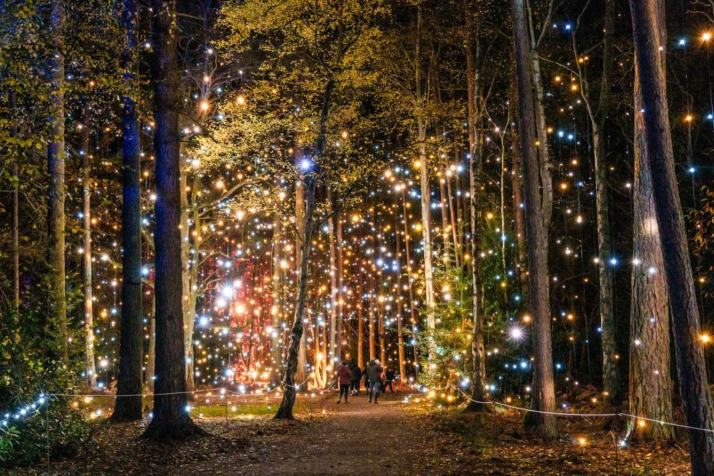 sandringham xmas